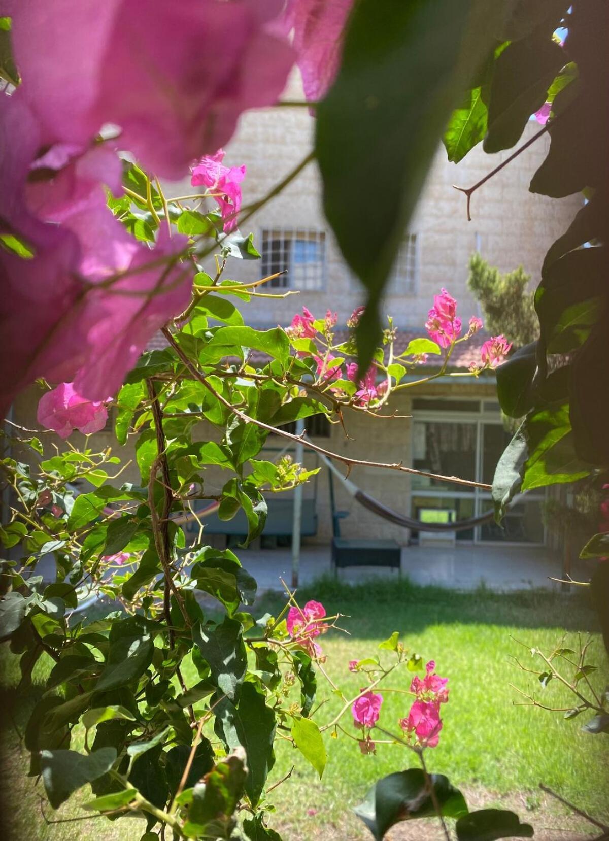 דירת גן מרווחת במיקום מעולה עם נטפליקס חינמי Apartment Ma'ale Adumim Bagian luar foto